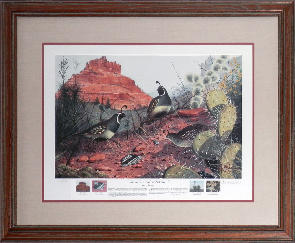 GAMBEL'S QUAIL AT BELL ROCK - Rare - Framed - By Les Kouba - Alliance