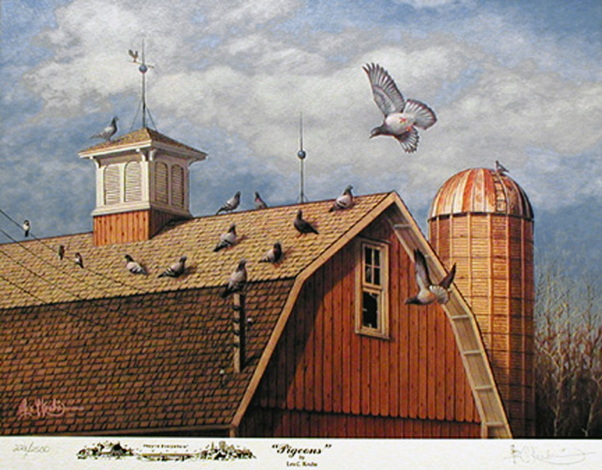 Pigeons Pigeons On A Barn By Les Kouba Alliance Art